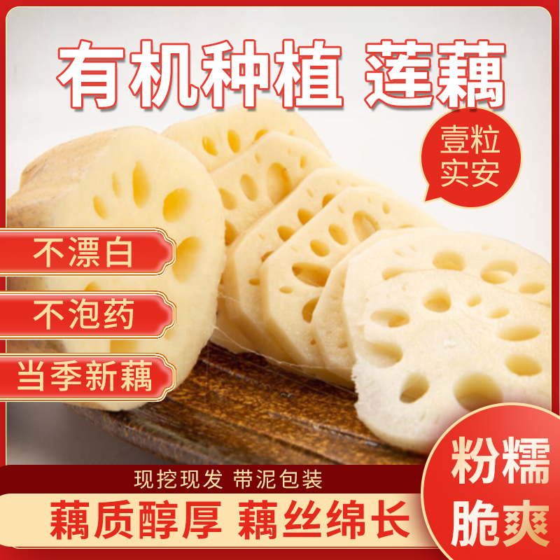 【壹粒实安】生态莲藕五斤三斤
