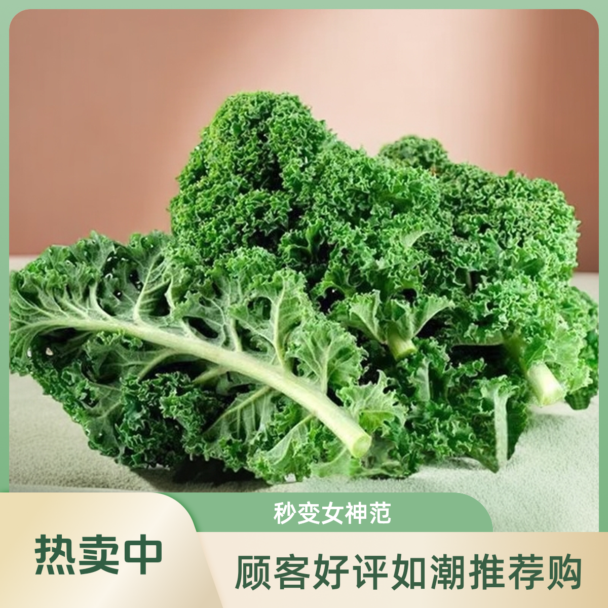 云南新鲜羽衣甘蓝嫩叶甘兰芥蓝菜叶西餐沙拉榨汁蔬菜食材现摘现发