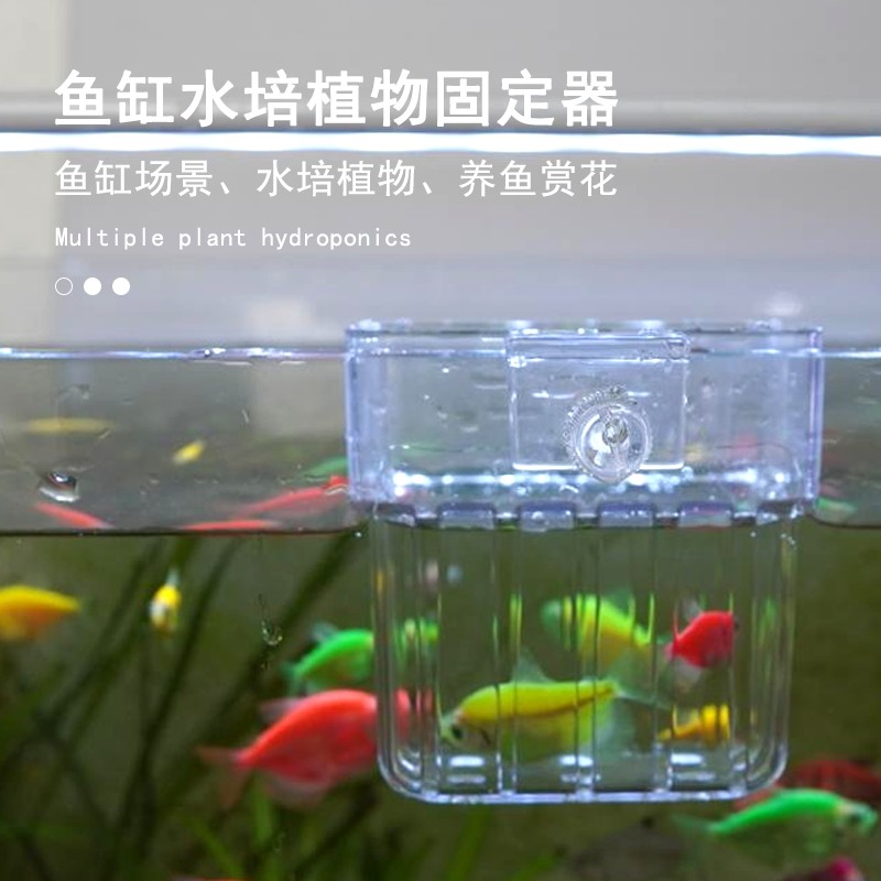 鱼缸水绿萝种植杯水草杯固定植物挂式定植篮鱼缸装饰造景创意配件