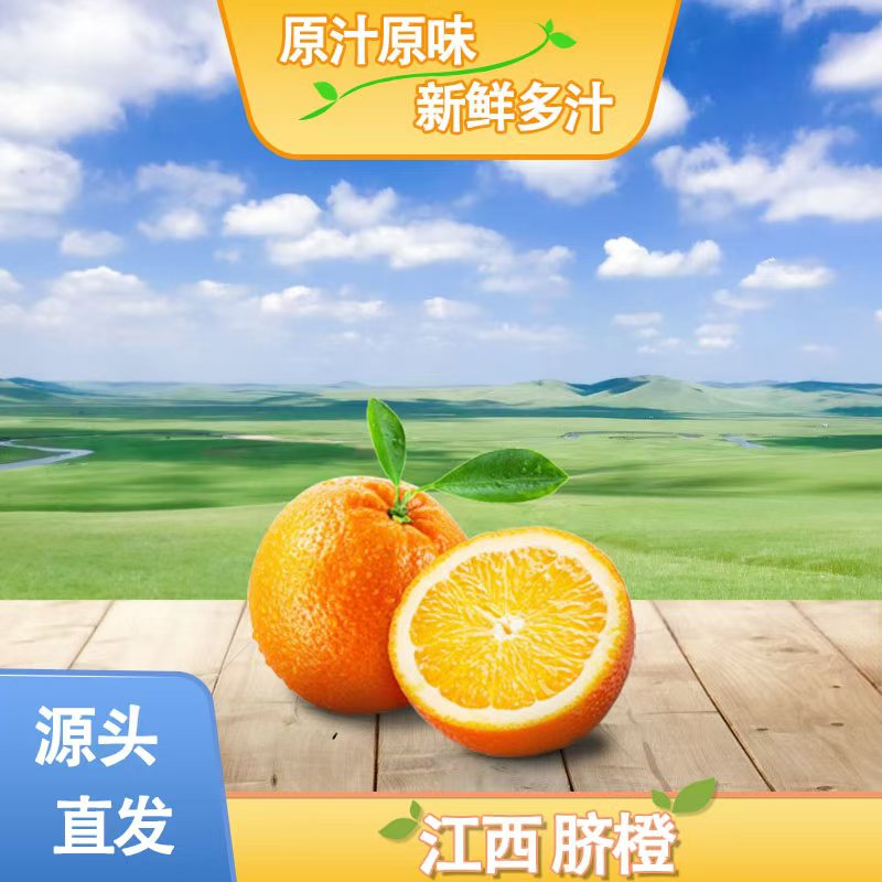 正宗江西脐橙10斤装 不催熟 不打蜡 新鲜水果 现摘现发 自产自销