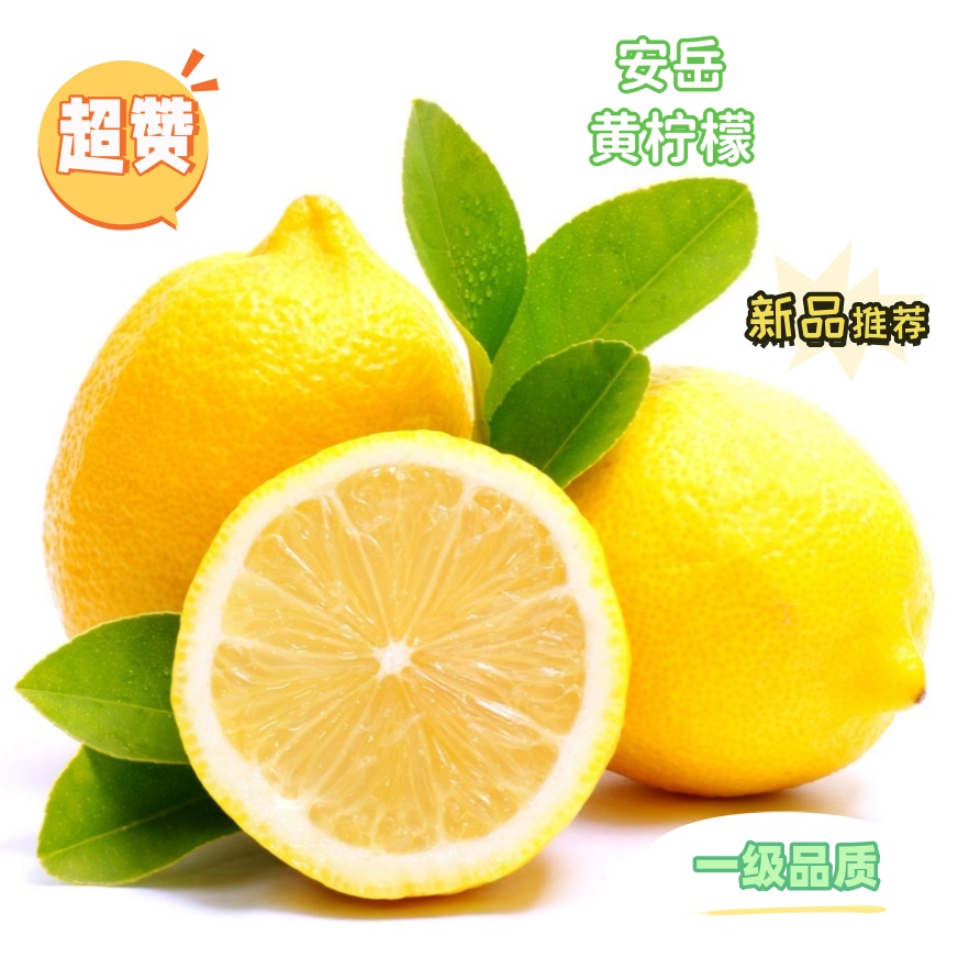 精选大果160-220g新鲜安岳黄柠檬皮薄多汁果香浓郁大小采摘种植