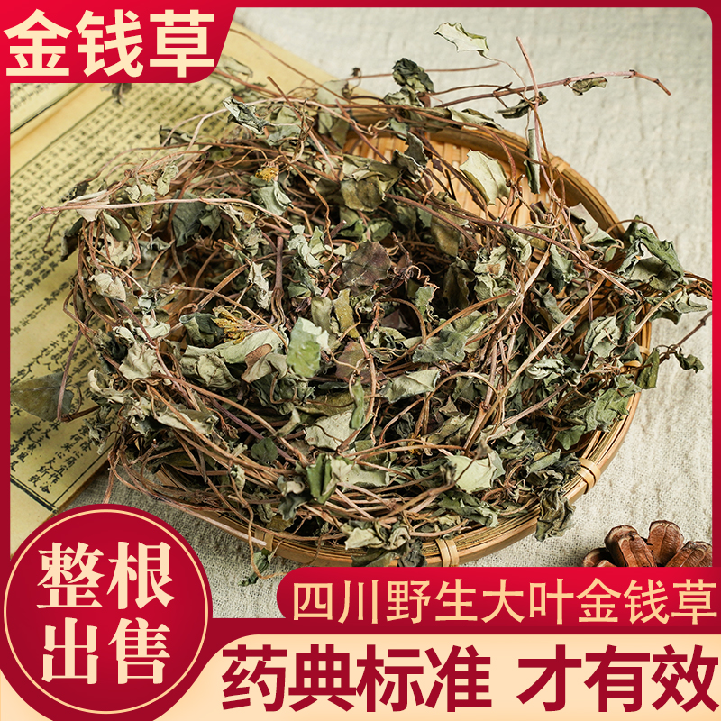 四川野生大叶金钱草干草药金前草茶过路黄非广西大金钱成都发货