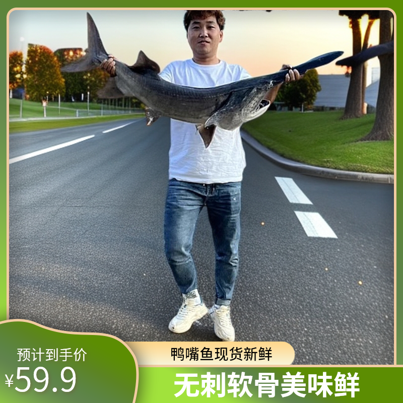 鸭嘴兽新无骨软骨无刺新鲜礼品淡水顺丰淡水鱼鸭嘴鱼冰鲜食鱼鲜鱼