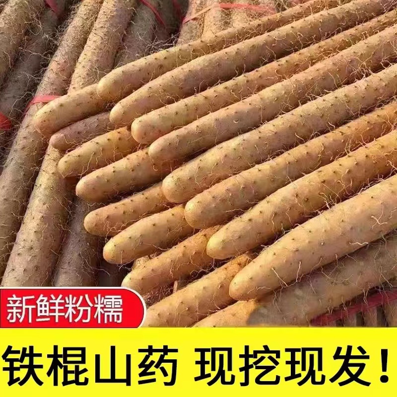 正宗铁棍山药小白嘴山药新鲜种植产地直发带土5斤60-80cm大果