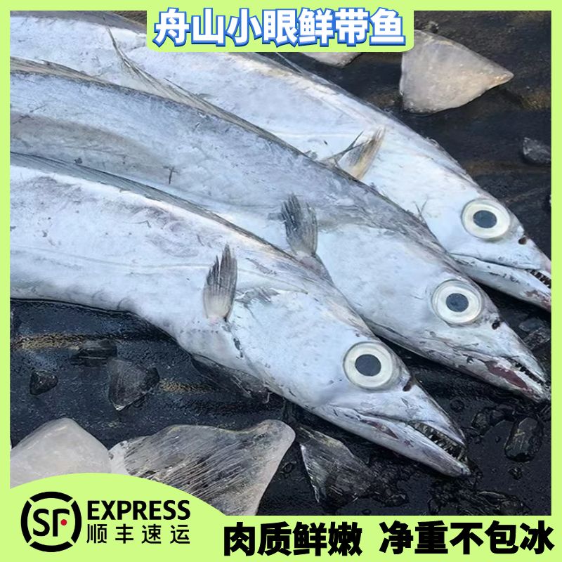 【大带】正宗舟山小眼鲜带鱼 纯正东海野生带鱼 肉质细嫩 满口油香