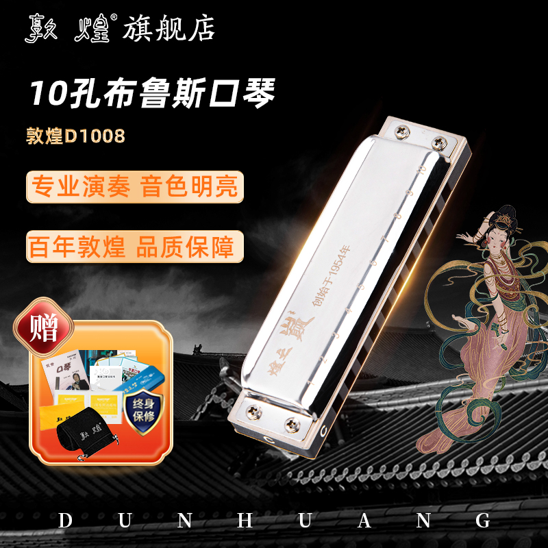 敦煌煌之巅高档十孔布鲁斯蓝调10孔口琴成人专业演奏入门D1008