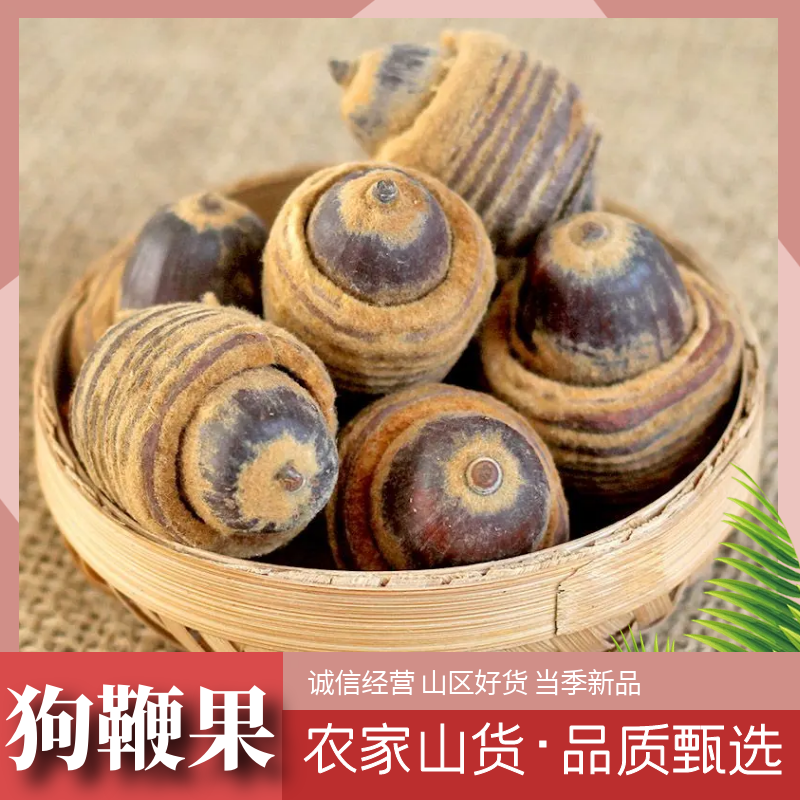 狗鞭果广西野生正品精选狗鞭猪仔粒干货毛毛果50g-500g另售栀子