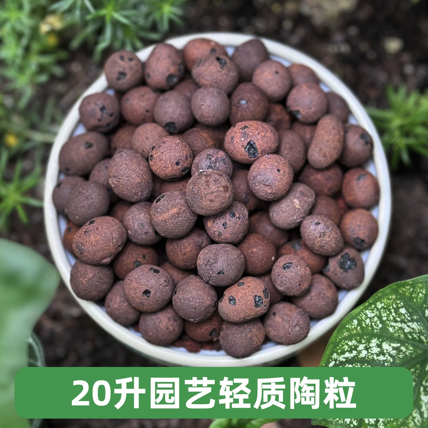 湘越20升美观大号轻质园艺空心陶粒垫底铺面养花土栽水培品质颗粒