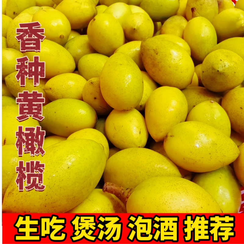 檀香橄榄香种黄橄榄生吃煲汤榨汁泡酒推荐橄榄香浓郁500g潮汕特产