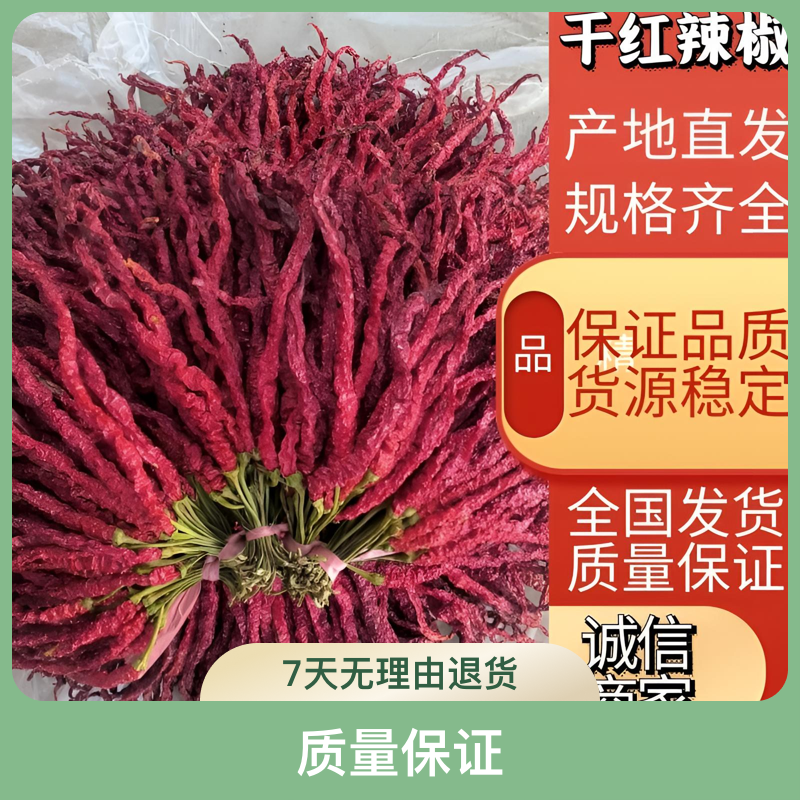 贵州毕节微辣特香烘干辣椒大方皱椒250克包邮