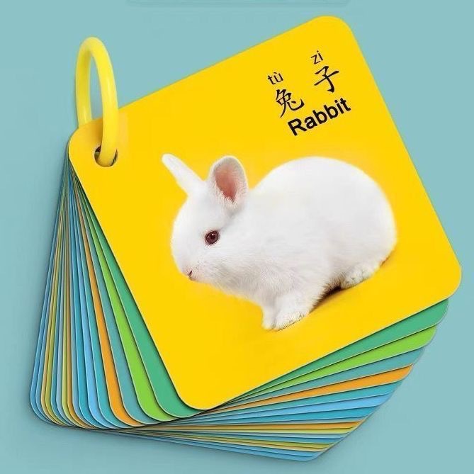 动物卡片认知早教启蒙书儿童一岁宝宝益智玩具婴幼儿认识颜色卡片