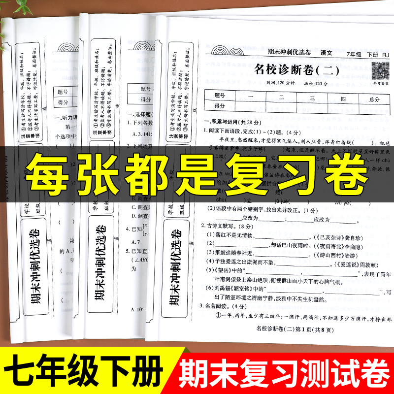 2025七年级下册试卷真题卷7下册数学试卷人教版期末冲刺优选卷语