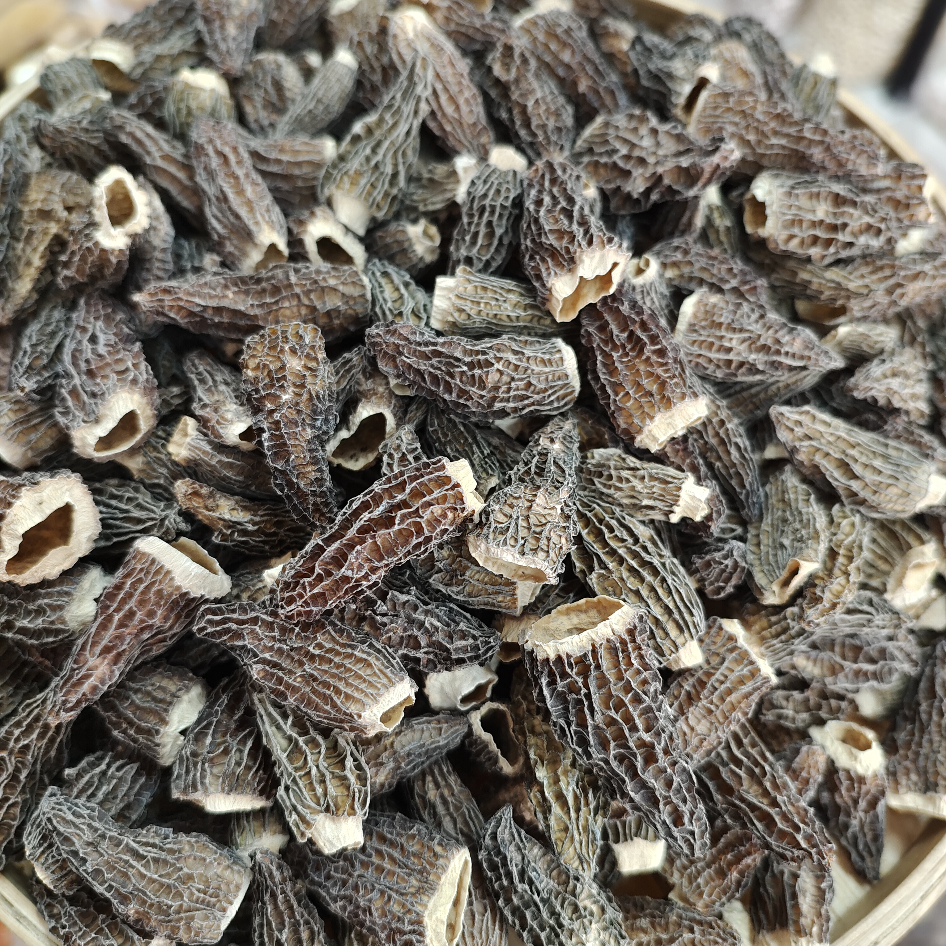 ［云南羊肚菌］初级农产品羊肚菌菇