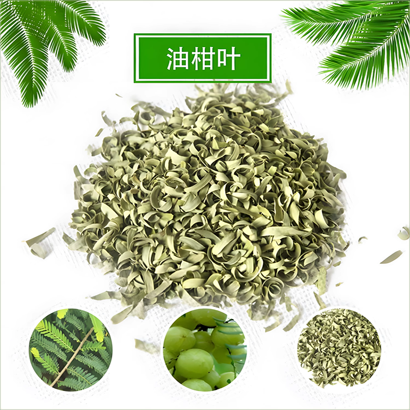 新鲜散装严选油柑叶子成人枕芯天然油柑叶学生枕芯填充物儿童家用