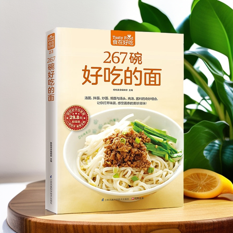 267碗好吃的面，中国碳水汤面炒面191
