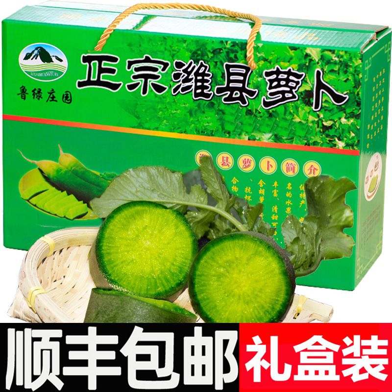 正宗潍坊水果青萝卜甜脆生吃潍县新鲜蔬菜青冰淇淋紫美人顺丰礼盒