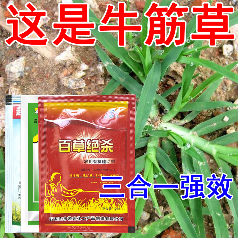 爱丰收牛筋草除草剂牛筋草专用除草剂烯草酮精喹禾灵果园死草烂根