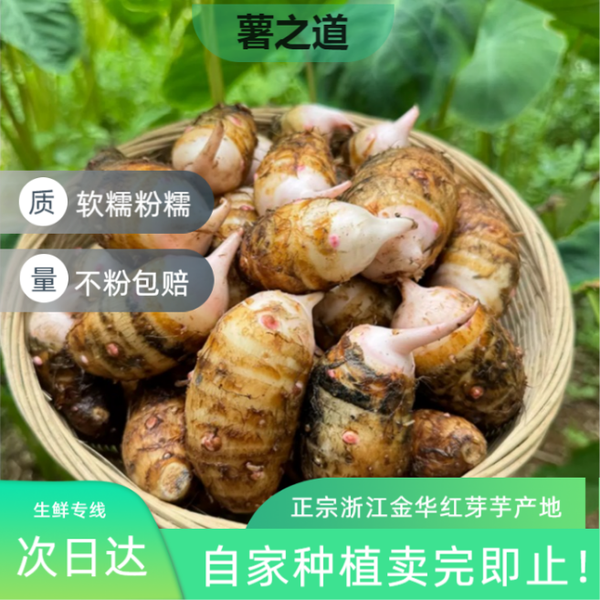 5斤畅吃正宗浙江红芽芋艿新鲜现挖牛奶芋头蒸煮口感细腻粉糯香糯