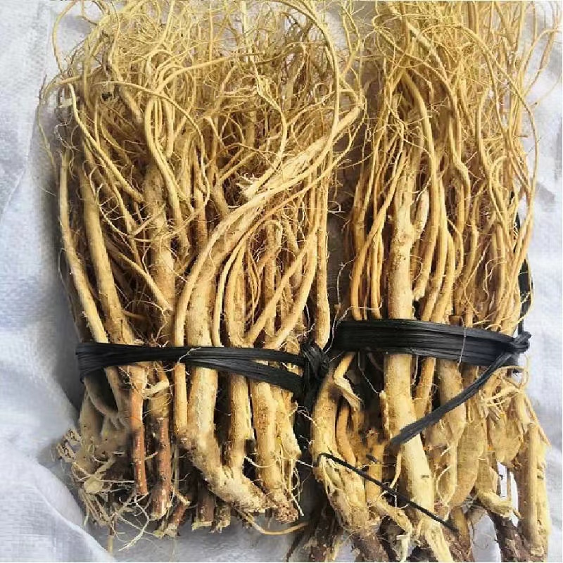 福建虎尾轮干品石参根500克