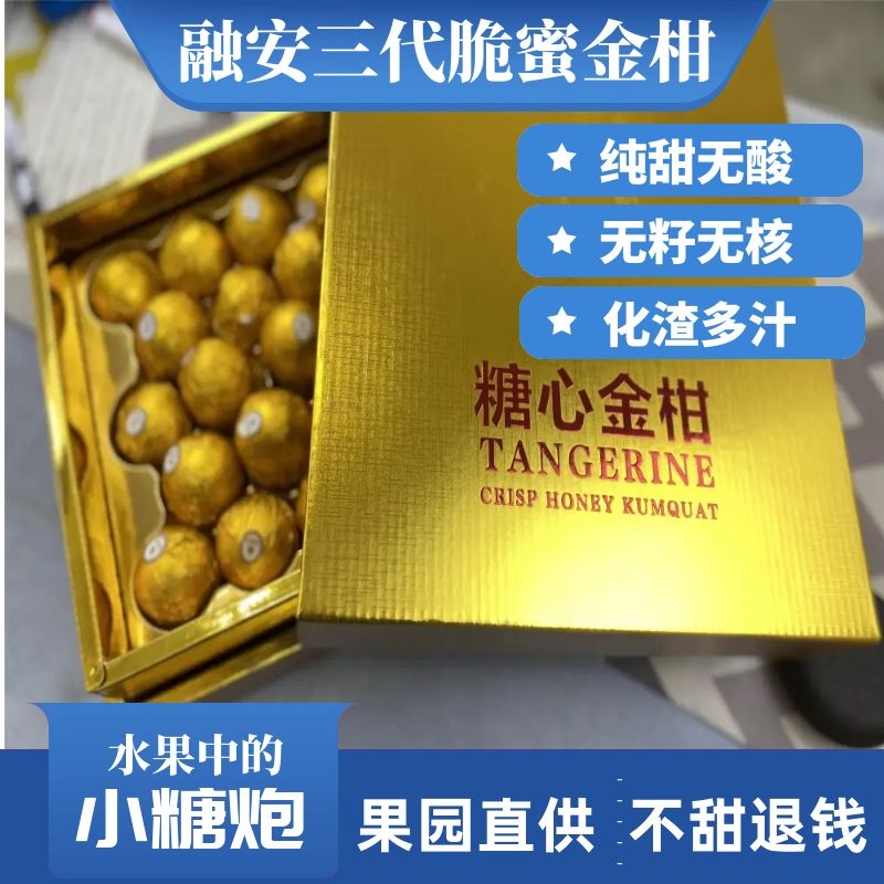融安脆蜜金柑高档巧克力礼盒送礼佳品正宗原产地新鲜现摘水果