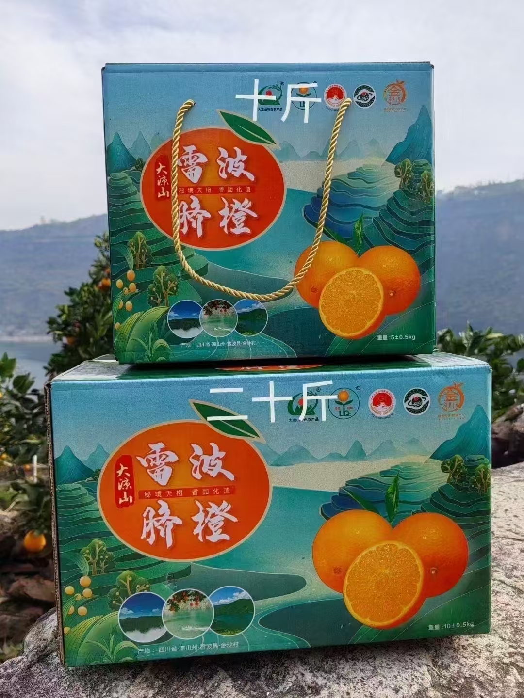 雷波脐橙现摘现发10斤包邮