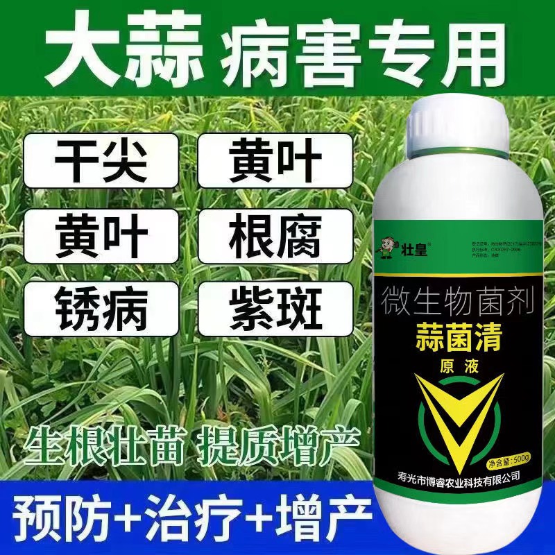 蒜菌清剂菌剂杀菌农用微生物菌剂葱姜蒜一扫净大蒜专用拌种剂原液