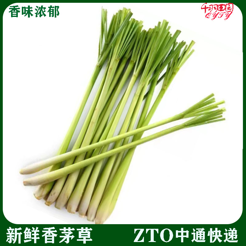 香茅草新鲜柠檬草叶香茅香料菜奶茶店用品调料泰国冬阴功汤料原料