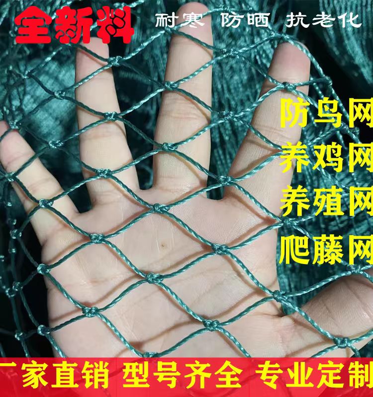 大棚尼龙线防鸟网养鸡尼龙网养殖天网鱼塘果园防鸟网果树防鸟用网