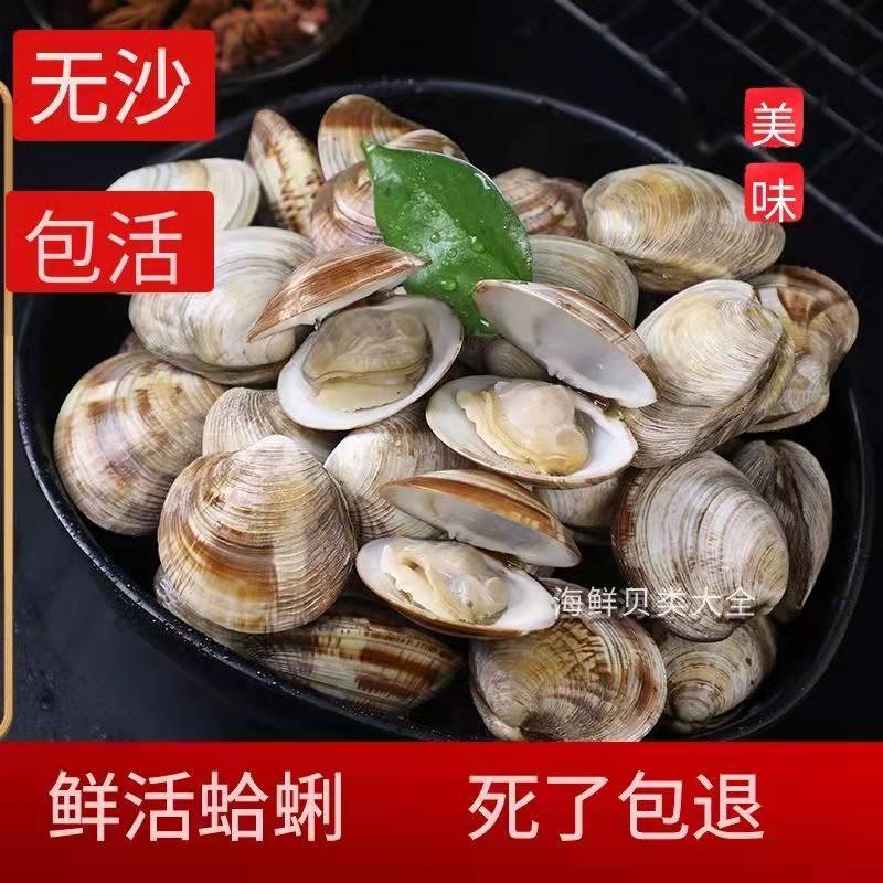 鲜活美贝到货保活冷链大个无沙蛤蜊500g/包生鲜海鲜饱满新鲜食用