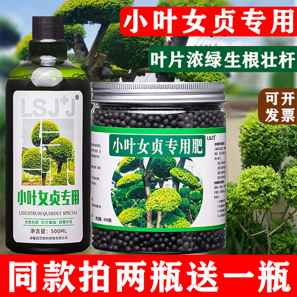 小叶女贞专用肥小叶水蜡树肥料营养液颗粒肥有机肥肥老桩四季常青