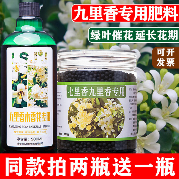 九里香肥料木香花专用肥室内盆景七里香有专用机颗粒营养液缓释肥