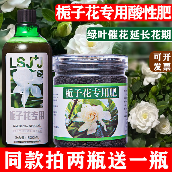 栀子花肥料专用肥营养液开花植物水培家用养花盆栽通用型酸性花肥