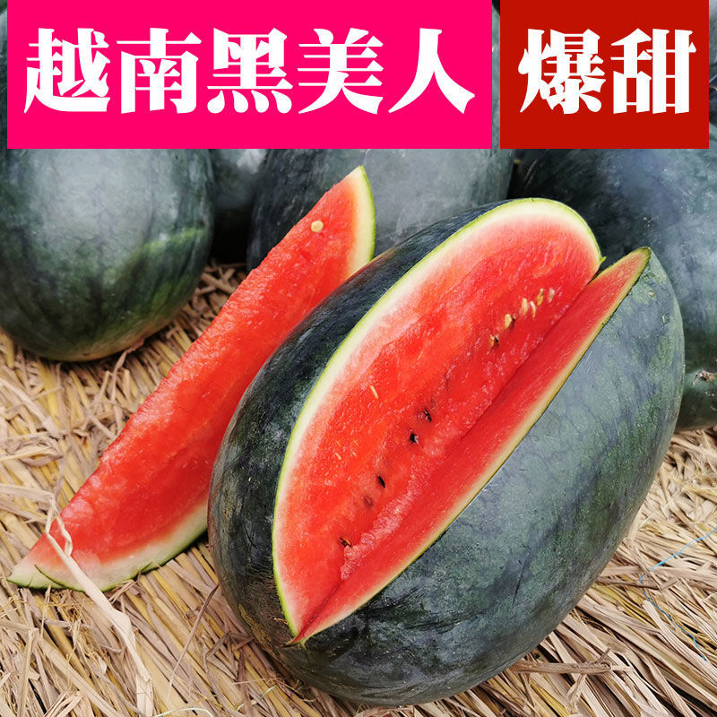 越南黑美人西瓜脆甜多汁 当季新鲜时令水果露天种植 包红整箱包邮