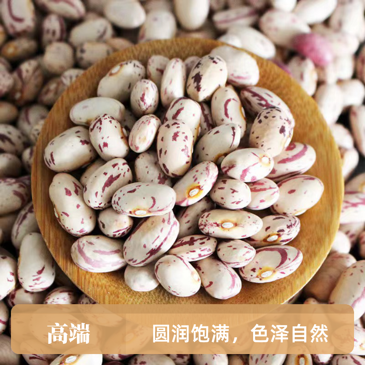 【25年新货】贵州雀蛋豆饱满子奶花芸豆营养花生豆煮粥五谷杂粮