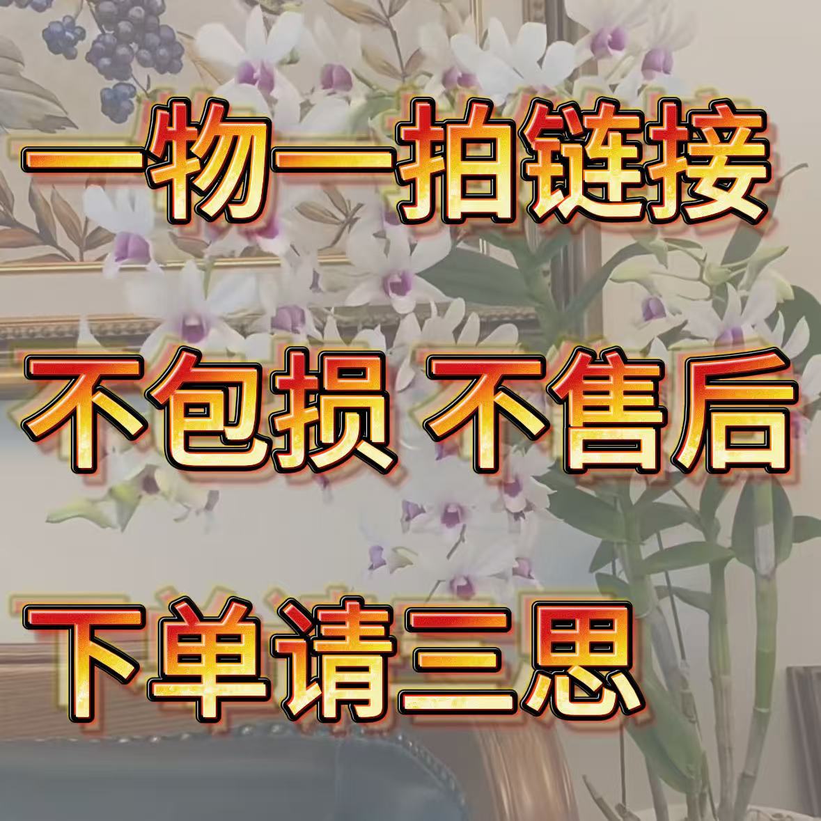 一物一拍多种类精品兰石斛兰花卉绿植盆栽卖苗卖品种基地直发包邮