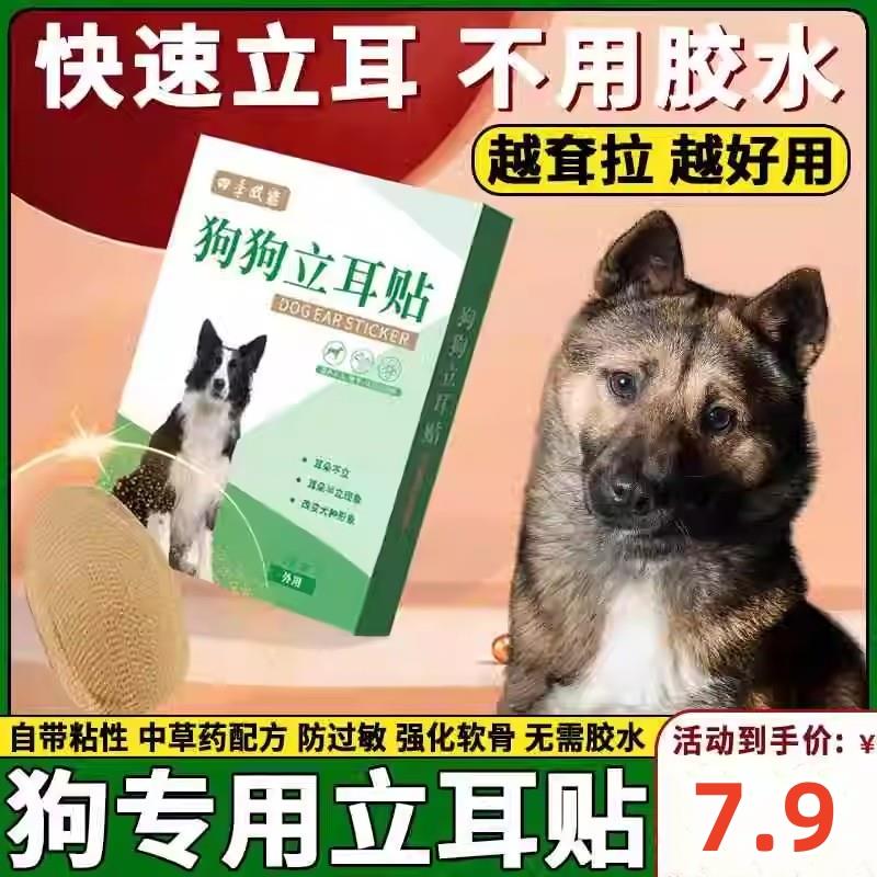 ++田园犬专用狗狗立耳神器小狗耳朵立耳器立耳贴幼犬竖耳辅助器夹
