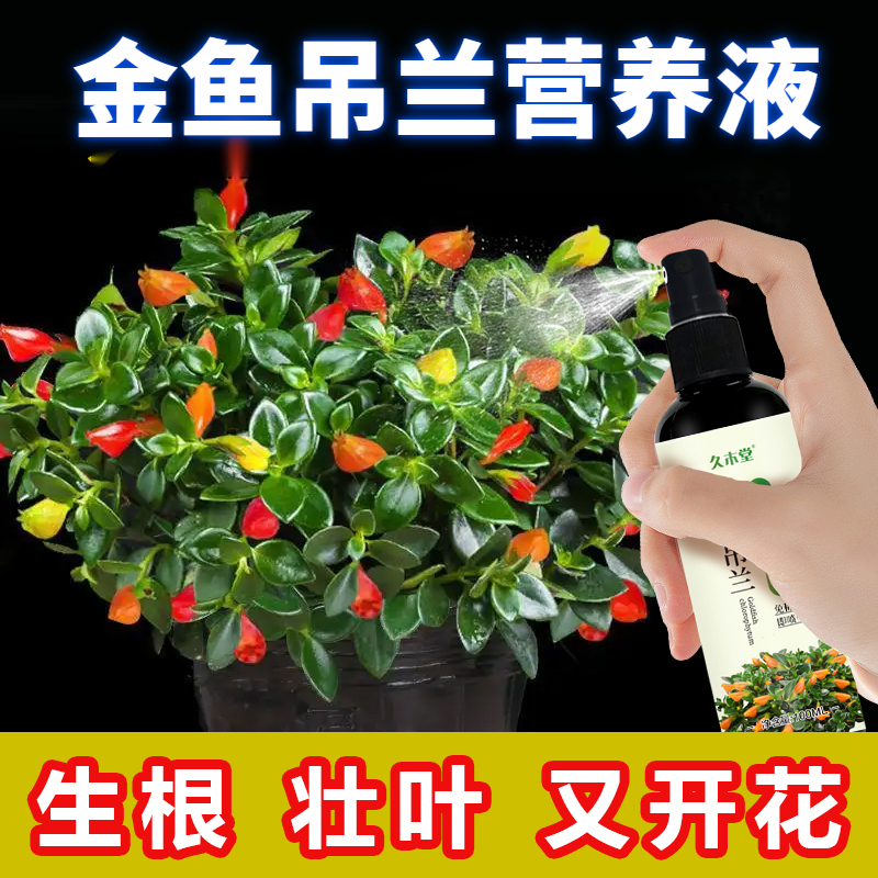金鱼吊兰土培专用营养液免稀释催开花防黄叶黑斑烂根促生根肥料液