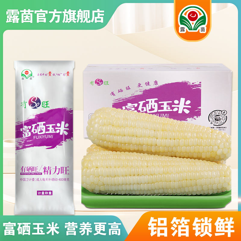 【露茵】富硒380大白糯玉米非转基因 新鲜香甜 轻食代餐 冬日火锅