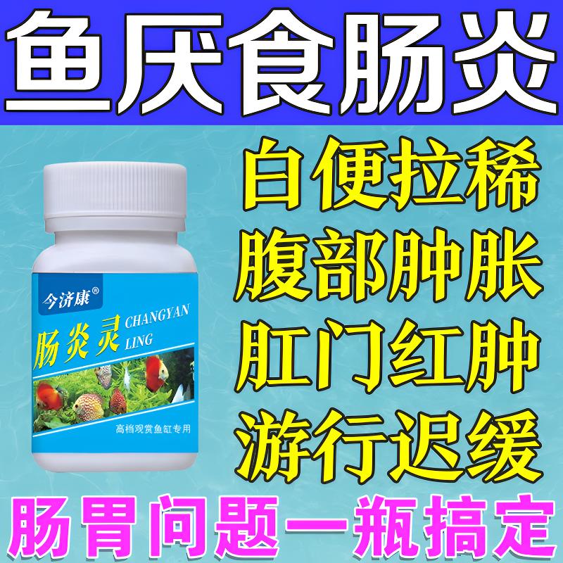 肠炎灵鱼用厌食拖便锦鲤观赏金鱼腹泻急救立鳞白便净水水族通用