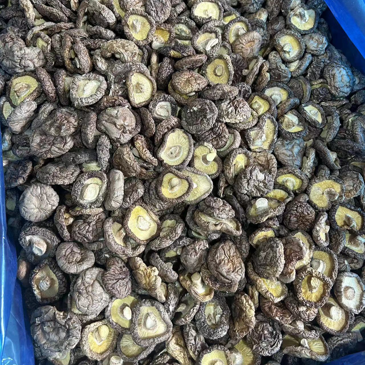 农家香菇 菇香浓郁肉质肥厚 500g