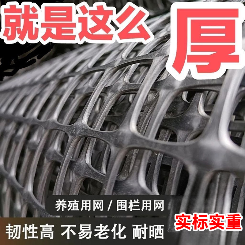加厚塑料围栏网养殖网果园菜园圈地鱼塘防护网玉米网厂家直销优惠