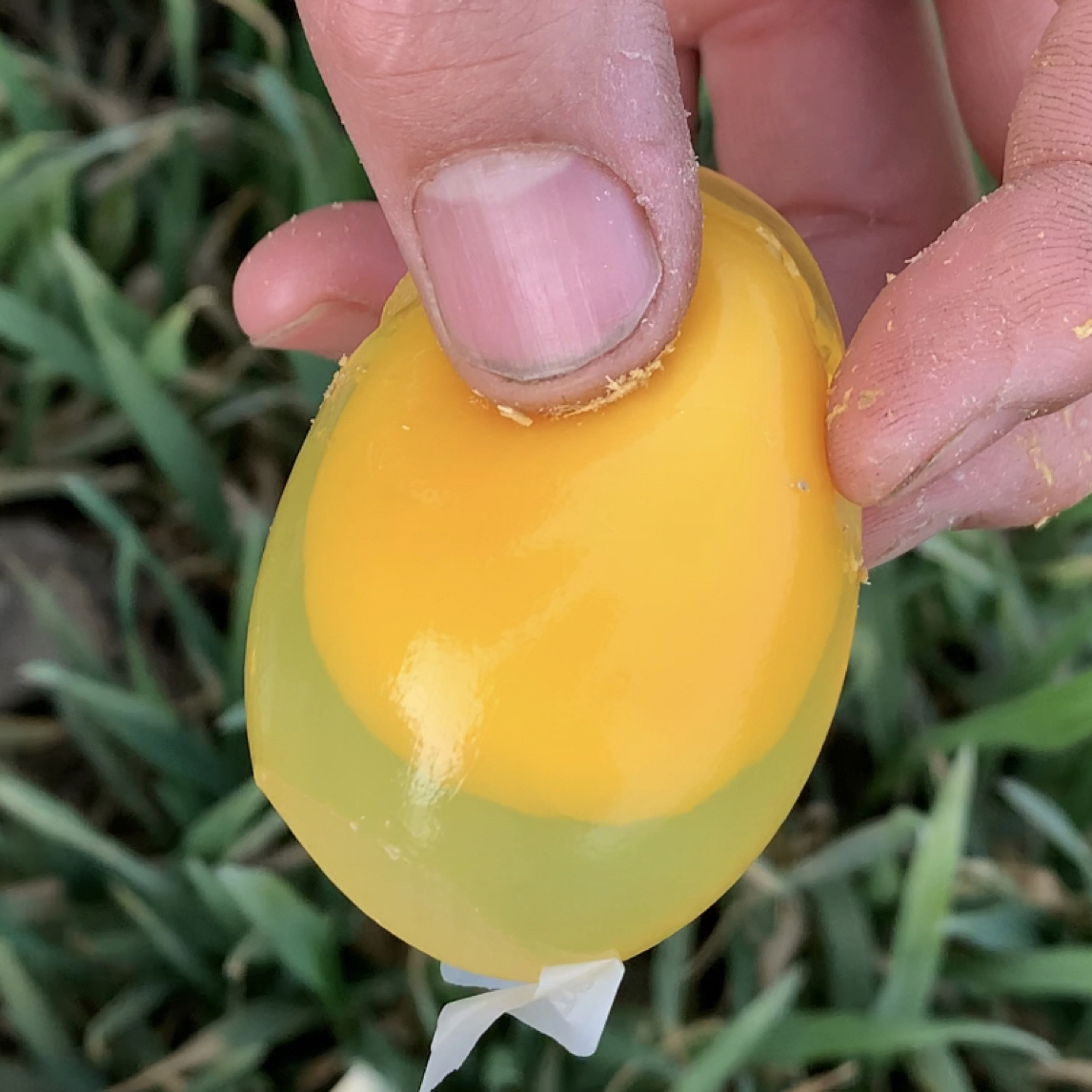 鸡蛋变蛋鸡蛋皮蛋鸡蛋松花蛋鸡蛋溏心变蛋