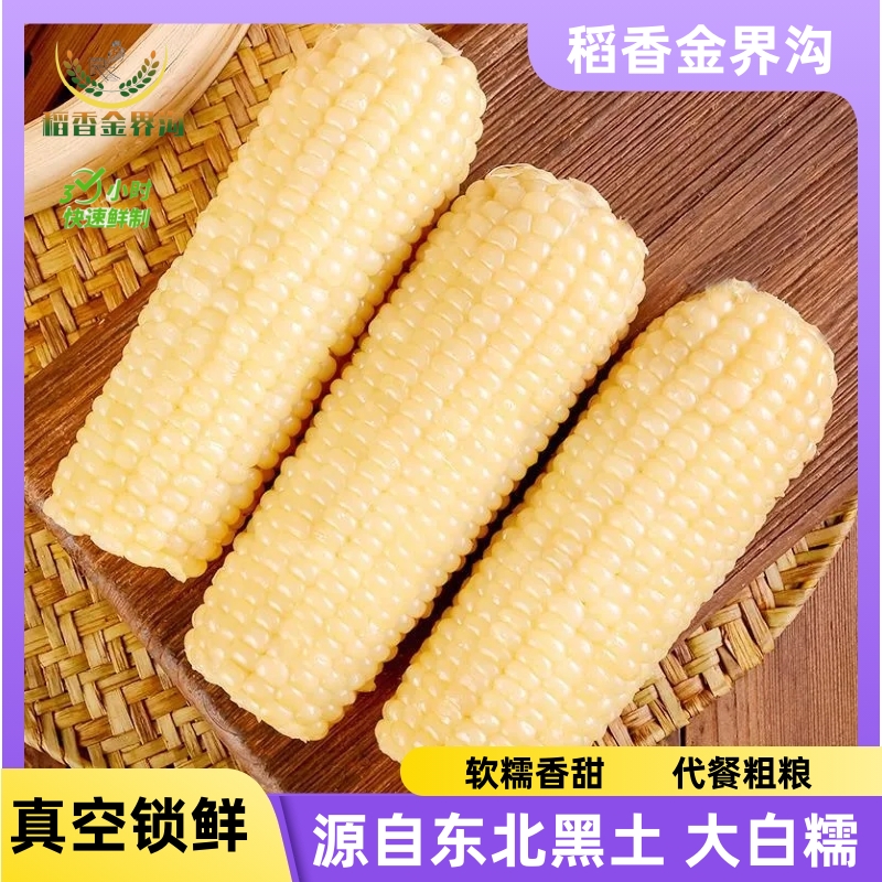 【试吃一根】2023新季280g-350g*10根白糯玉米东北黑土清甜香甜软糯