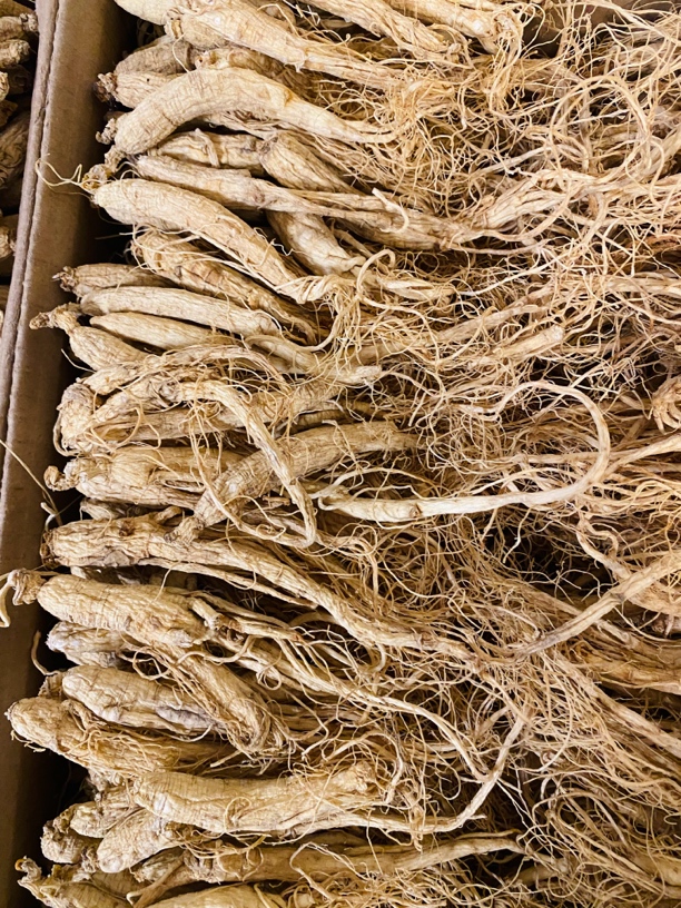 ZOCI长白山人参泡酒泡水煲汤略有瑕疵不影响食用正宗人参经济实惠