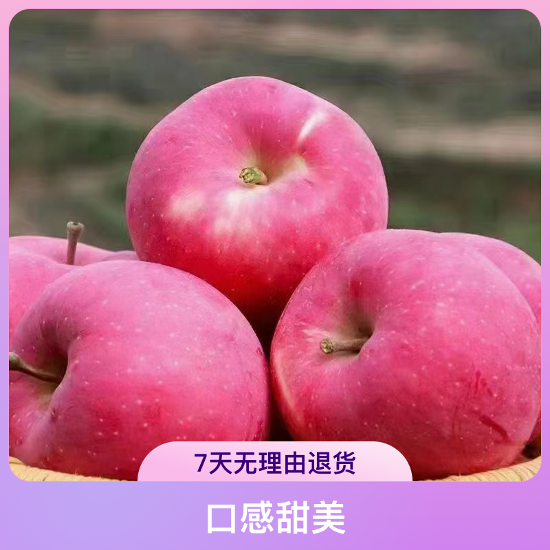 甘肃天水秦安县红富士甘肃红富士苹果天水富士苹果