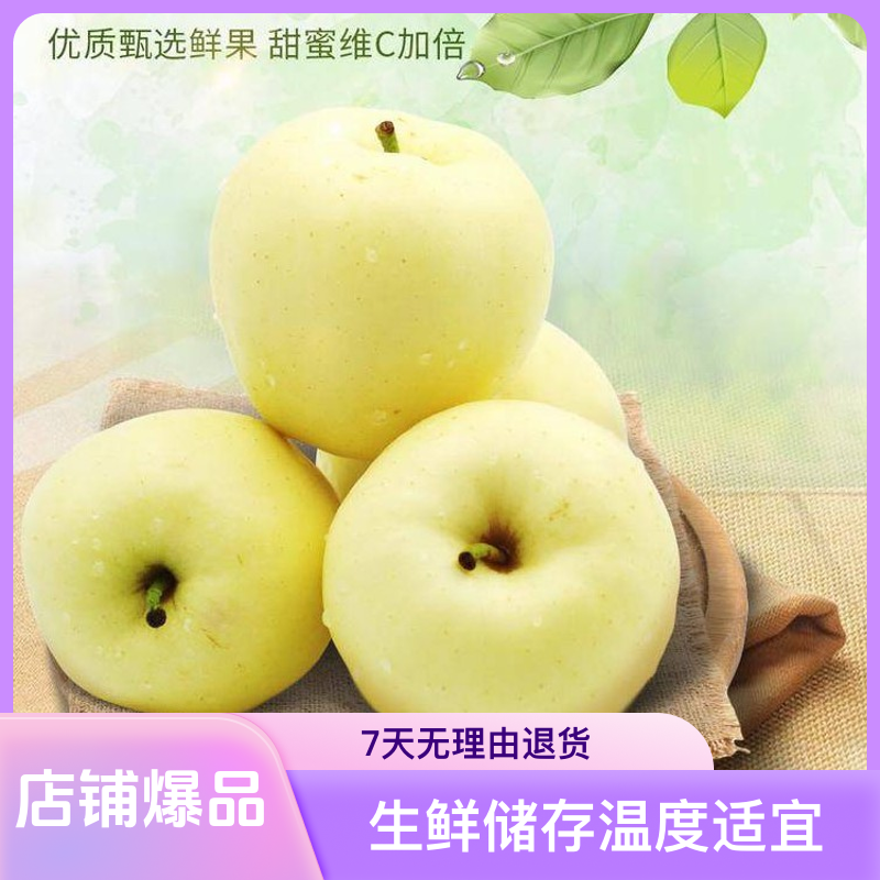 正宗甘肃天水秦安黄元帅苹果果园直采直发甘肃天水苹果运费险