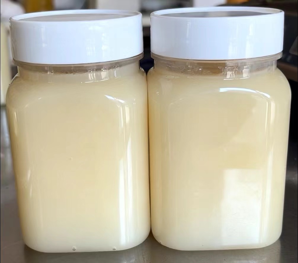 结晶椴树蜜  蜂农自产椴树蜜   500g*2 瓶
