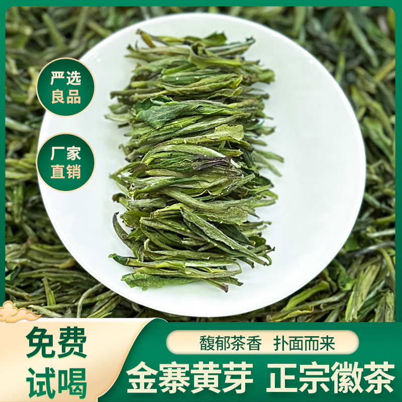 新茶头春头采高山绿茶金寨黄芽嫩芽2025高颜值新茶精品茶