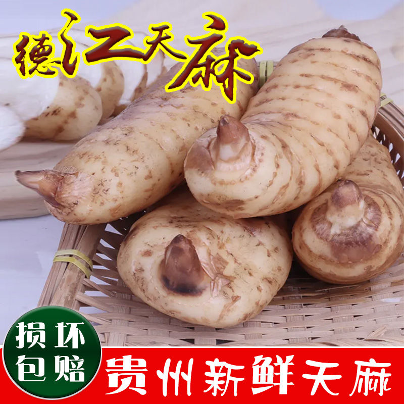 贵州德江天麻高山新鲜生天麻2斤农产品