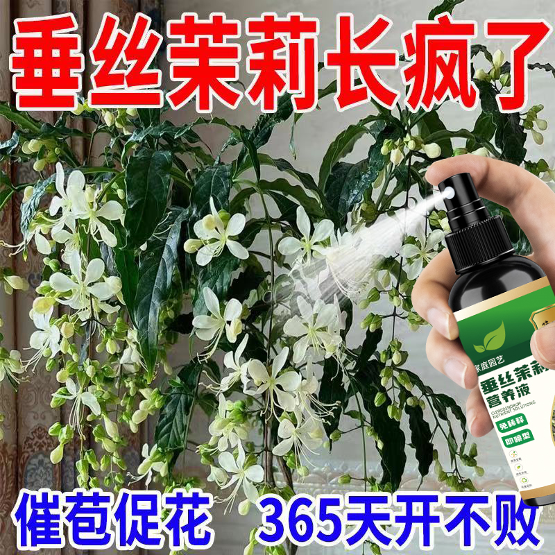 垂丝茉莉专用营养液叶免稀释防黄叶烂根黑腐枯枝促生长一喷开花